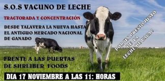 Convocan una tractorada contra la situación actual de la leche de vaca