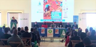 Pedro Barato (ASAJA): “Antes de determinar el calendario de movilizaciones, está el calendario de la negociación” ASAJA