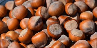 Las principales organizaciones productoras de avellana se organizan en una asociación frutos secos