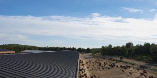 El Cantero de Letur pone en marcha su nueva granja ecológica de cabras de leche