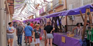 El Ayuntamiento de Brihuega apuesta por la marca quiere ‘Lavanda de Brihuega’