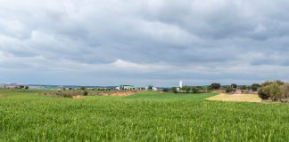 ICPOR consume más de 200.000 toneladas de cereal de proximidad al año