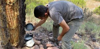 RESINLAB: un impulso innovador al tradicional oficio de la resinación resinero