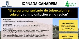Jornada ganadera en el Teatro Auditorio de Los Yébenes (Toledo). 16 de noviembre. 11:00 horas