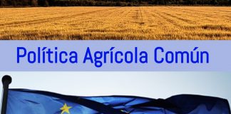 ¿Se puede presentar la solicitud de la PAC tras la finalización del plazo oficial?