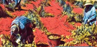 Pablo Casado participa en el Congreso de Jóvenes Agricultores y Ganaderos de ASAJA Ciudad Real