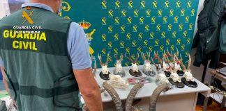 Guardia Civil desarticula una trama de cazadores furtivos que manipulaba precintos de caza para reutilizarlos