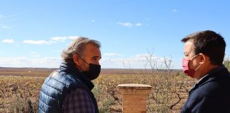 Abonado el primer pago de 2 millones de la nueva campaña de reestructuración de viñedo