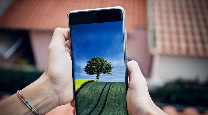 Castilla-La Mancha acoge una experiencia piloto para la cumplimentación del cuaderno de campo digital móvil