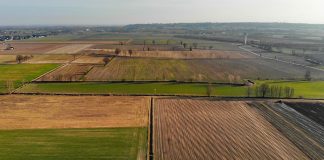 La Junta advierte que Andalucía quedará fuera de la PAC si no se equiparan las comunidades de bienes y sociedades civiles con las sociedades anónimas limitadas