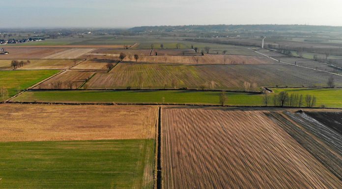 Los pagos del FEAGA (Fondo Europeo Agrícola de Garantía Agraria) superan ya el 92 por ciento