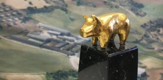 41 granjas de seis comunidades autónomas se reparten los 48 premios Porc d’Or