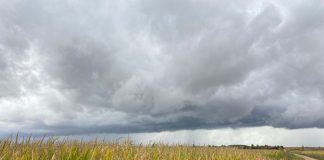 El Gobierno aprueba el Plan de Seguros Agrarios Combinados para 2022