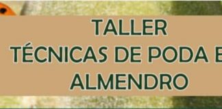 16 y 17 noviembre. Taller Poda en Almendro. Camuñas y Tomelloso