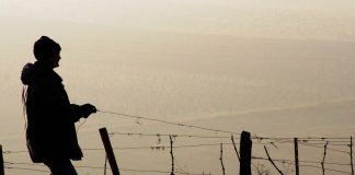 ¿Puede un jubilado percibir las ayudas de la Política Agrícola Común (PAC)?