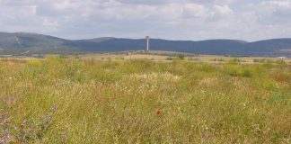 Desarrollan herramientas que ayudan a comprender qué cultivos se adaptarán mejor a las tierras marginales o de bajo rendimiento