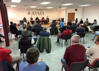 El sector del porcino de Castilla-La Mancha reacciona ante la propuesta de moratoria aprobada en las Cortes que impediría nuevas explotaciones