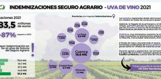 Las indemnizaciones de 2021 del seguro a los viticultores se elevan hasta una cifra histórica: 83,5 millones