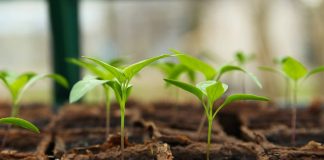 Amazon invierte en sistemas de agricultura y uso eficiente del agua