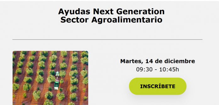SEMINARIO NEXT