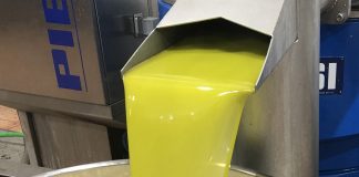 Las existencias finales de aceite de oliva se quedan en 290.220 toneladas aceite de oliva