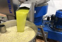 La producción en enero de aceite, a pesar de las continuas precipitaciones, se cifra en 321.040 toneladas aceite a granel