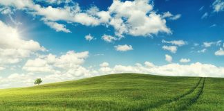 La gran novedad de la PAC 2023-2027 es su cambio de enfoque paisaje