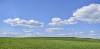 Piden prohibición total de herbicidas y eliminación de agricultura de conservación como ecoesquema de la PAC