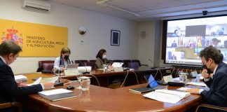 Los trabajos de la propuesta de España de la Política Agraria Común (PAC) están ya casi finalizados