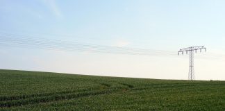 Establecido el coeficiente definitivo del ‘Greening’ o Pago Verde de la campaña PAC 2021 campo