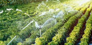 Los regantes urgen al Gobierno a aclarar si podrán beneficiarse de la doble potencia eléctrica riego