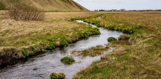 El MITECO lanza a consulta pública la modificación del Reglamento del Dominio Público Hidráulico río