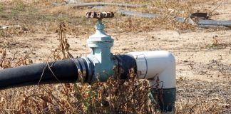 ¿Qué problemas ocasiona el uso de agua dura para riego?