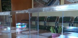 El sector agroalimentario frente a las próximas elecciones generales urna