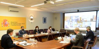 Planas expone a las comunidades autónomas las prioridades españolas durante la presidencia francesa de la UE