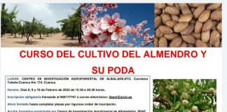8 al 10 de febrero. Albaladejito (Cuenca). Curso sobre el cultivo del almendro y su poda