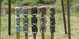 ¿Funcionan igual todas las cámaras de fototrampeo?