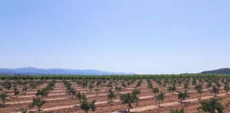 Gobierno limitará uso de fertilizantes y aumentará superficies protegidas para reducir contaminación por nitratos en masas de agua