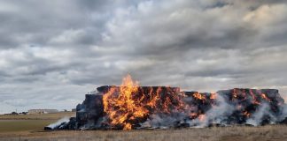 Arden más de 1.000 paquetes de paja en una parcela agrícola de Guadalajara Incendio paja