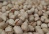 Importantes subidas en los precios en origen de los pistachos pistacho de Castilla-La Mancha