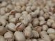 Importantes subidas en los precios en origen de los pistachos pistacho de Castilla-La Mancha