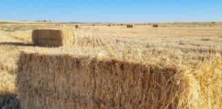 Pide que se detenga el suministro de paja a las empresas que se dedican a la producción de energía a partir de biomasa paja