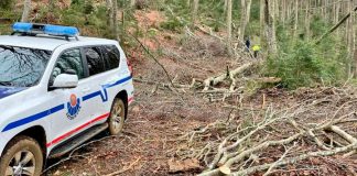 Dos nuevas muertes en labores del sector primario, esta semana
