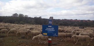 Nace la Plataforma por la defensa de las Vías Pecuarias de Castilla-La Mancha