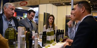 El grupo Oleo Vidabol cosecha más de 16 millones de kilos de aceituna