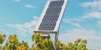 Las múltiples ventajas de las instalaciones de energía solar en entornos agrícolas Agrovoltaica