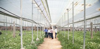 Unión de Uniones presenta alegaciones al Plan Estratégico de la Política Agrícola Común (PEPAC) en defensa del agricultor profesional