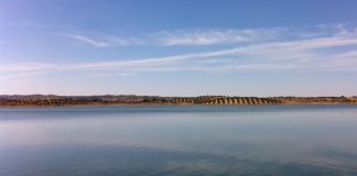 Afirma que la sequía demuestra la necesidad de priorizar las inversiones históricas para los regadíos y usos ganaderos rio Guadiana