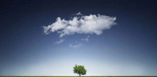 ¿Cómo será el sector agrario en el año 2030?