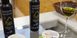 Producción cae un 33 por ciento en la Denominación de Origen Protegida Aceite Sierra de Cazorla